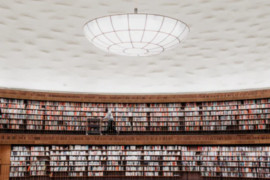 School library shelves