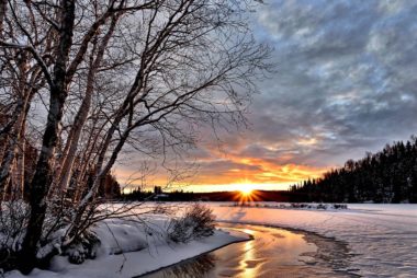 Winter landscape